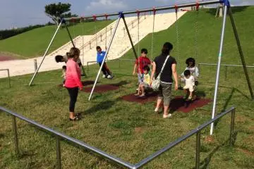 <p>Swings</p>