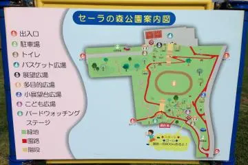 <p>The park sign shows the layout as being flat but the park is actually on four distinct tiers connected by stairs and sloping walkways</p>