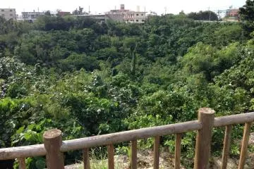 <p>The first tier to the park is the only part that is densely wooded and its actually inaccessible. This four story drop appears to be a flood basin</p>
