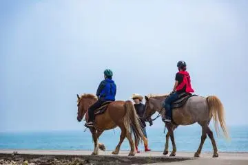 Horseback riding