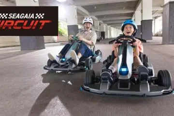 Segway Gokart PRO 2