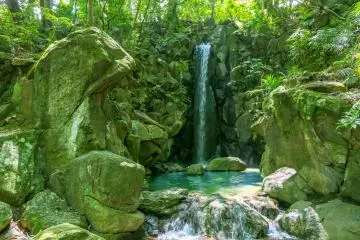 Naritasan Shinshoji Temple –Yuhi-no-Taki Falls 
