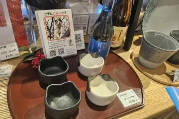 Cat-shaped dishes sold at COCOSHIGA