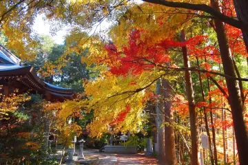 Photo: Okayama Prefecture