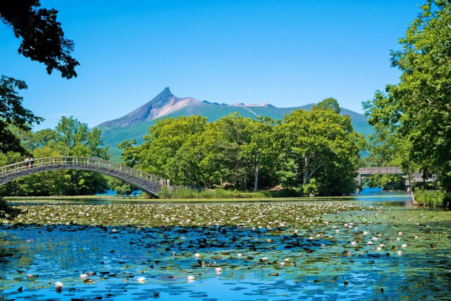 Onuma Quasi National Park