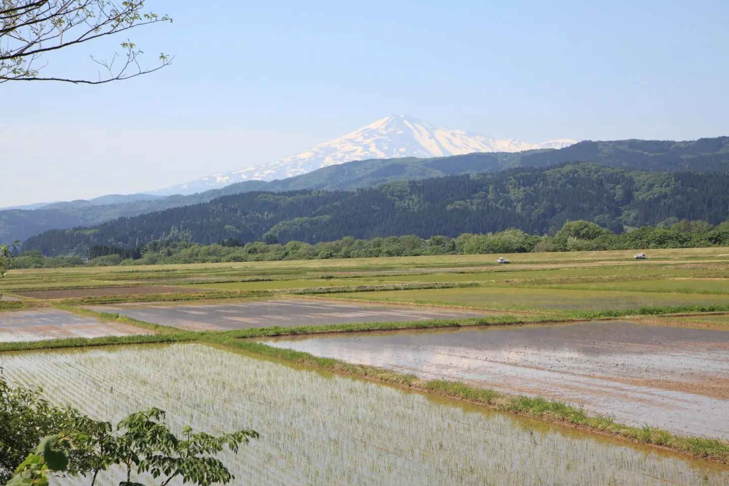 Rizières à Nikaho, Akita