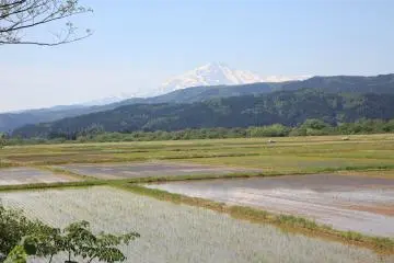 Rizières à Nikaho, Akita
