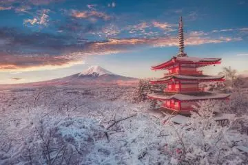 Exploring Japan Through the Seasons: Three First-Time Classic Tours