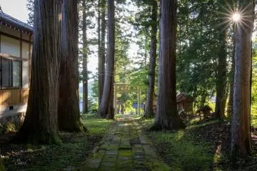Kariyasawa Shinmeigu (刈谷沢神明宮) is known for its sacred tree (goshinboku), which has stood for over 500 years.