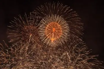Colourful fireworks fill the crisp night sky.