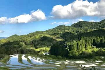 Photo: Chiba Prefecture PR Project