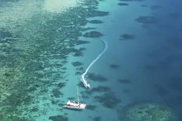 Now that you sampled a small part of the reef, experience the majesty of the real thing