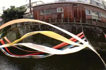 <p>Slight fisheye perspective</p>
