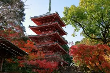 The picturesque pagoda of Kaizumi Shrine