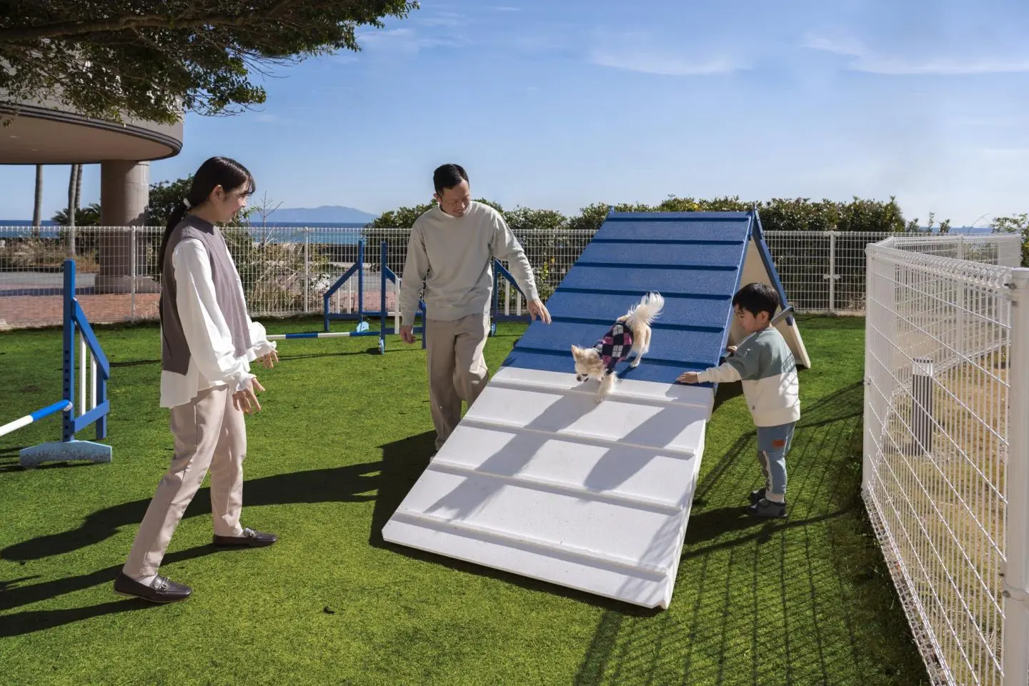 Dog run with natural grass