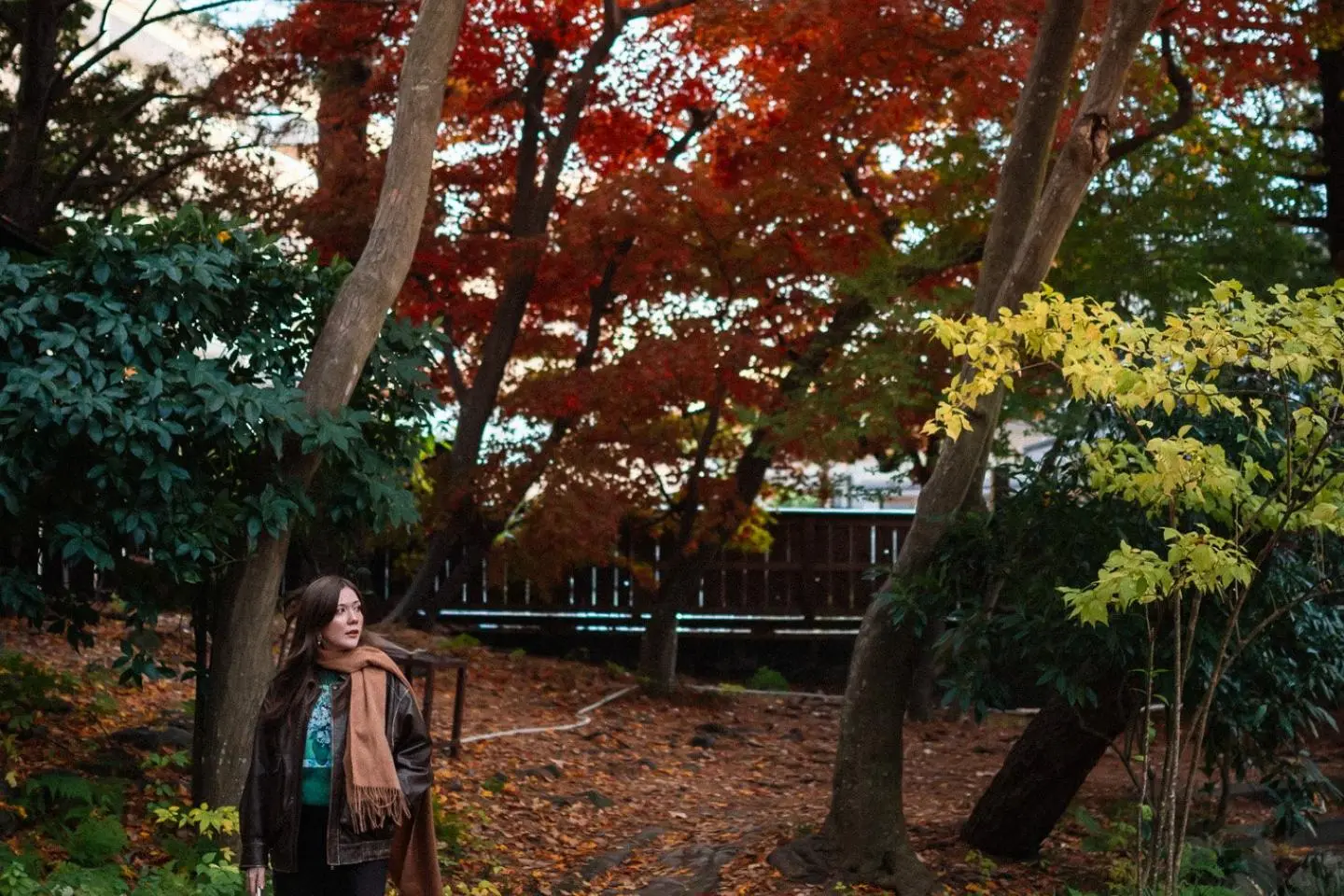 Walking through autumn foliage (Photo: Todd Fong)