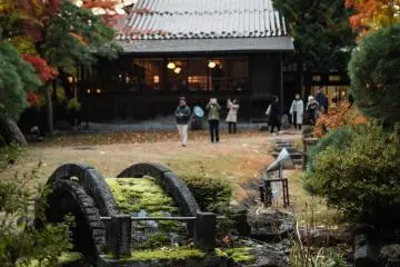 Stone bridge in garden