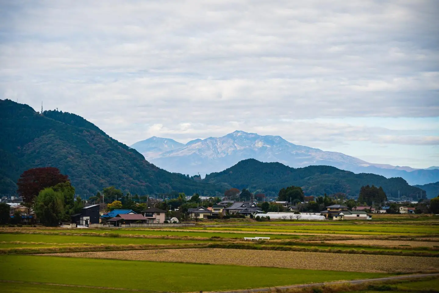 The Japanese countryside (Photo: Todd Fong)