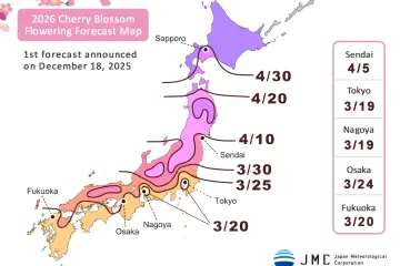 Photo:  Version 1, released 18th December 2025 – <a href="https://n-kishou.com/corp/news-contents/sakura/?lang=en" target="_blank" rel="noreferrer noopener nofollow">Japan Meteorological Corporation</a>