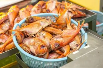 Golden-eye snapper being prepared (Photo: Fabien Recoquille)