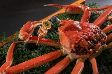 Echizen crab