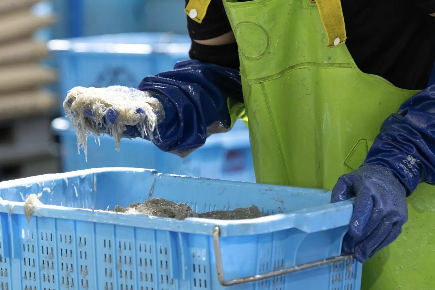Examen de la pêche du jour (Photo: Fabien Recoquille)