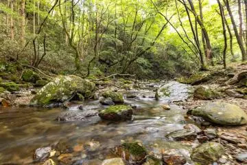 Le doux ruisseau des gorges de Hanazono