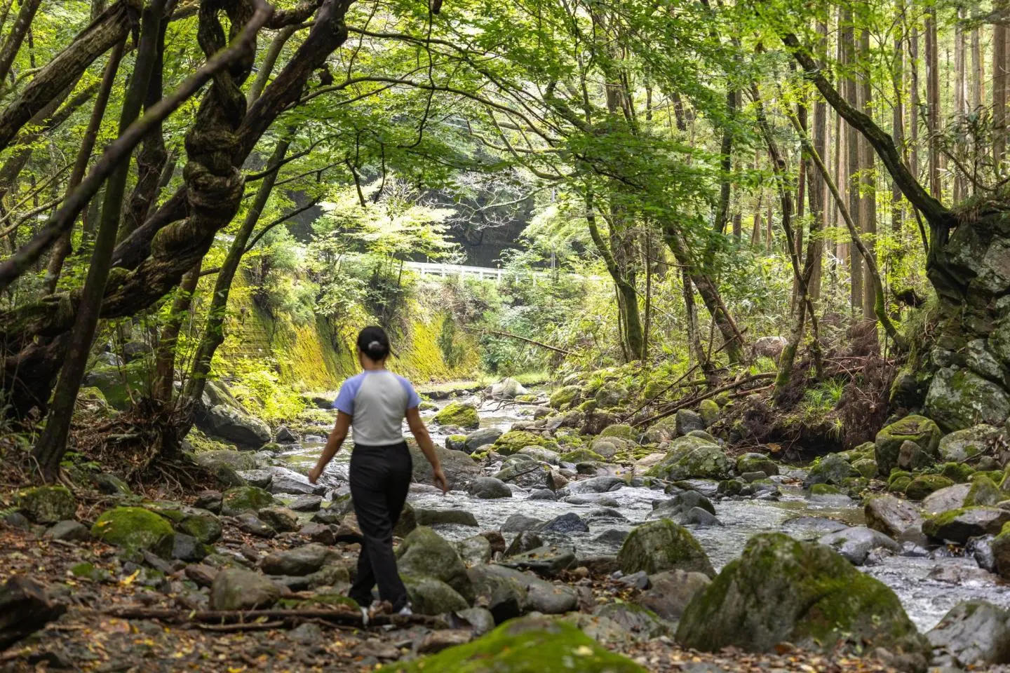 Une promenade paisible (Photo: Fabien Recoquille)
