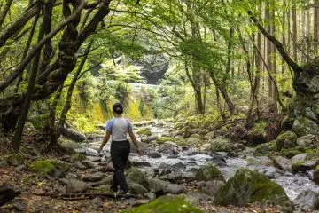 Une promenade paisible