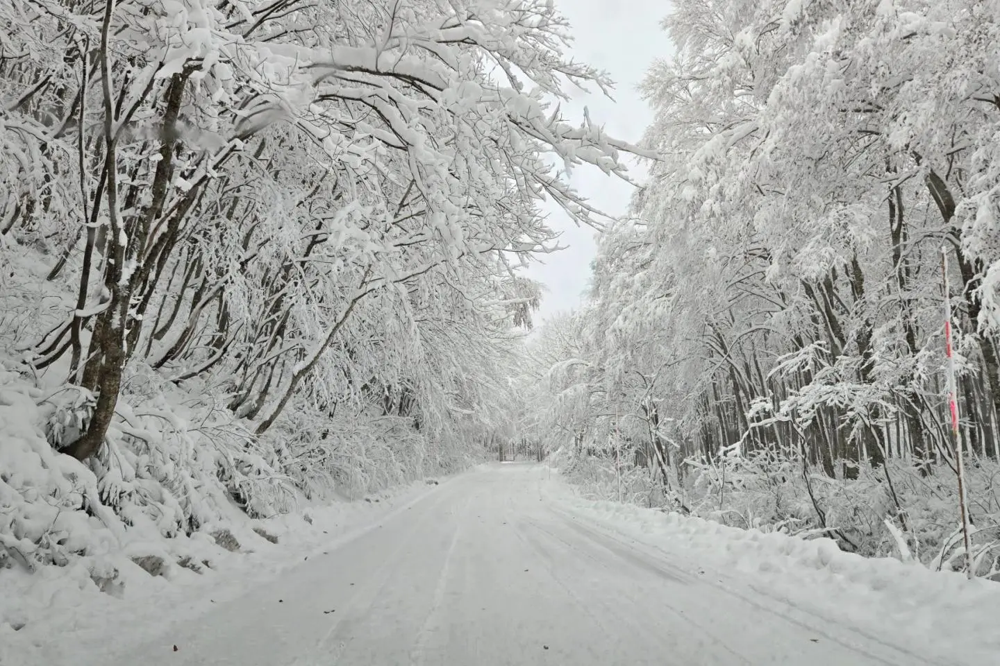 Snowy road to Nyuto Onsen Village