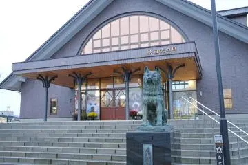 Akita Dog Visitor Center