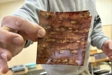 Kabazaiku experience at Kakunodate Cherry Bark Woodcraft Museum