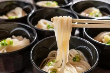 Inaniwa Udon