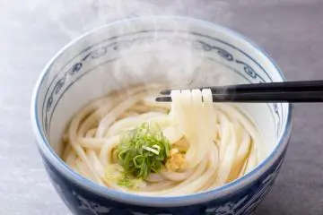 Kamenoi Hotel Kanonji's Sanuki udon