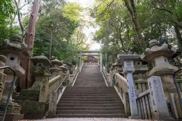 Kotohira Shrine (Photo: Shawn.ccf / Shutterstock.com)