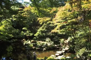 The leaves are turning yellow and red over the Jiro Benten Pond.