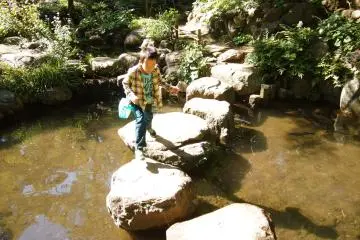 Children enjoying themselves around the pond is a joy to watch.