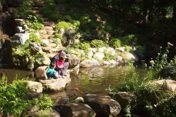 A grandpa and his beloved grandchildren observing the koi fishes in the pond.