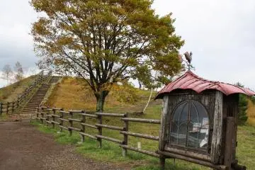 Gallery image