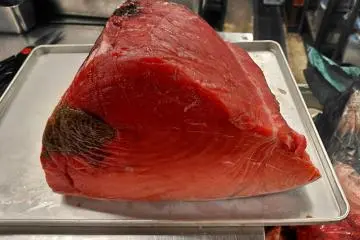 Fresh tuna