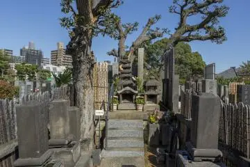 <p>The grave lies beneath gnarling trees. It was an honour to stand before her at Myokoji</p>