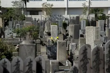 <p>The stone stands amidst a large graveyard. If you visit remember to act appropriately</p>