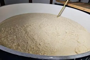 Moromi (mash undergoing saccharification and maturation)