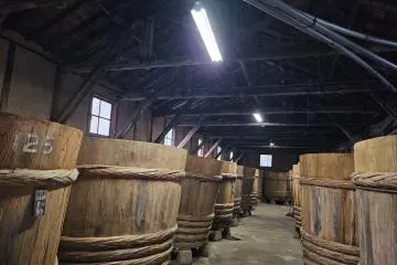 Traditional fermentation vats