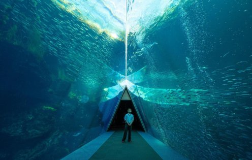Discover a Side to Fukushima You've Never Seen