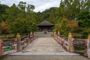 Ganjoji (Leslie Taylor)