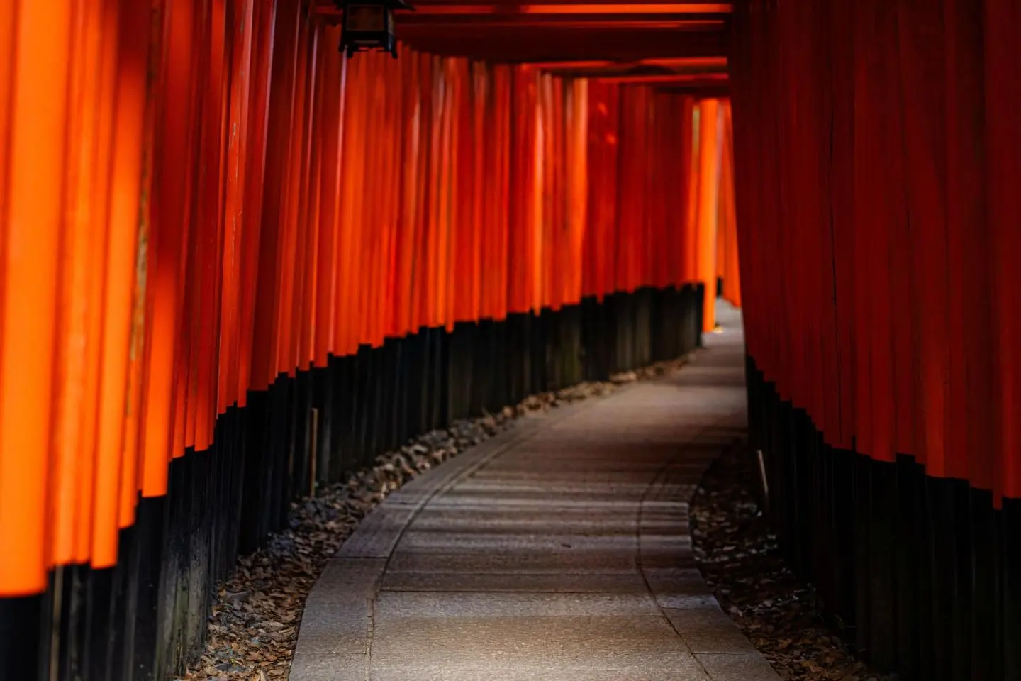 Torii gates at Fushimi Inari Taisha Shrine (Photo: aporlo / Shutterstock.com)