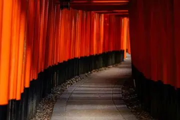 Torii gates at Fushimi Inari Taisha Shrine
