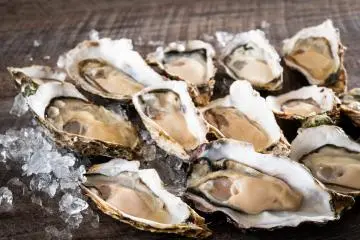 Raw oysters