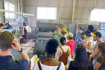 Tour led by Marjolein Raijmakers, one of the tea sommeliers at Nagasaki Ikedoki Tea